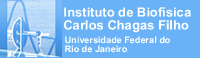 O Instituto de Biofísica Carlos Chagas Filho